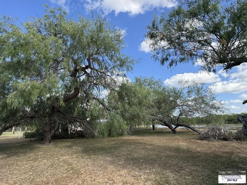 0.23 acres in CAMERON County - photo 7