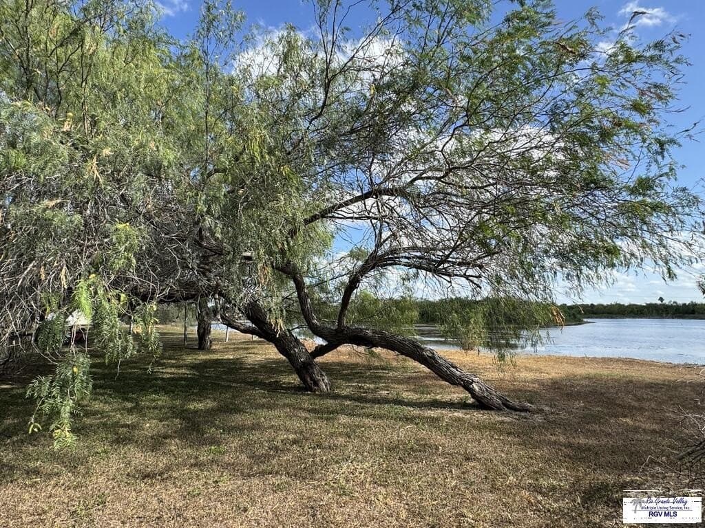 0.23 acres in CAMERON County - photo 9