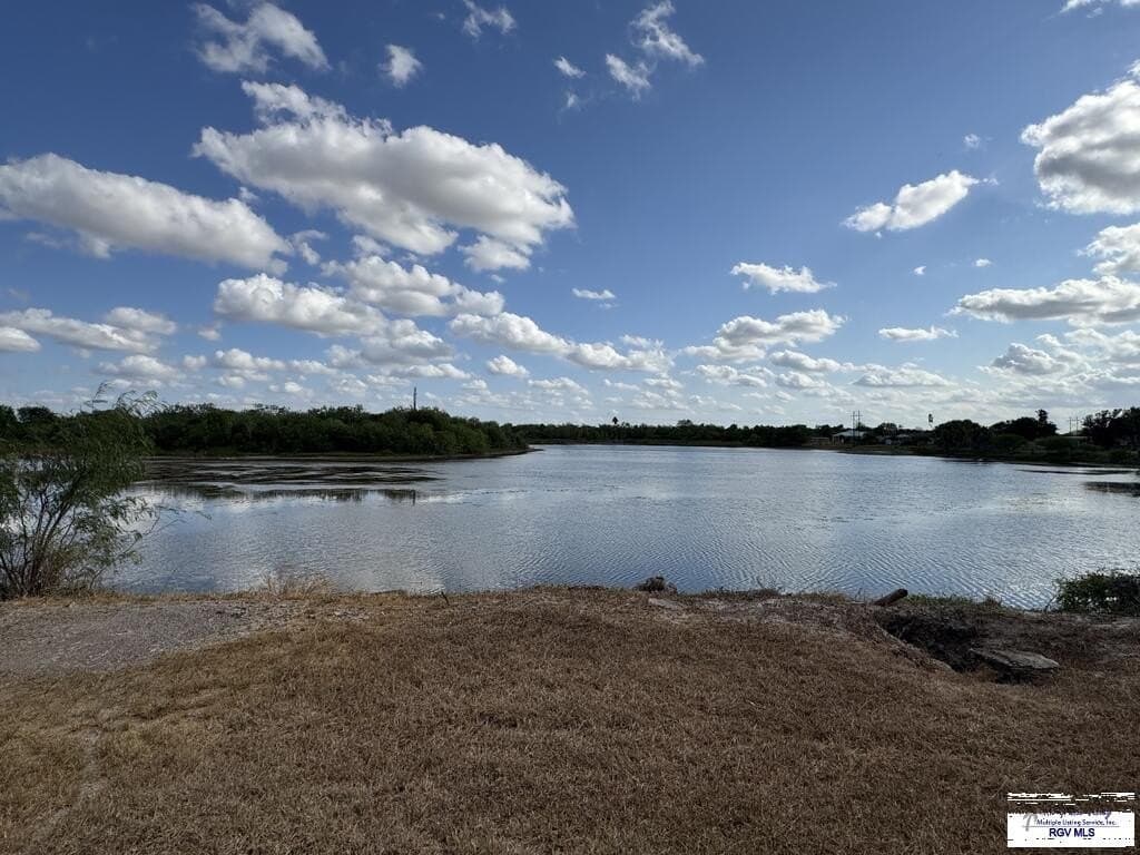 0.23 acres in CAMERON County - photo 10
