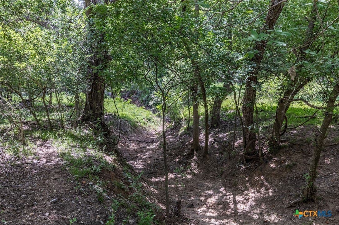 40 acres in Guadalupe County - photo 9