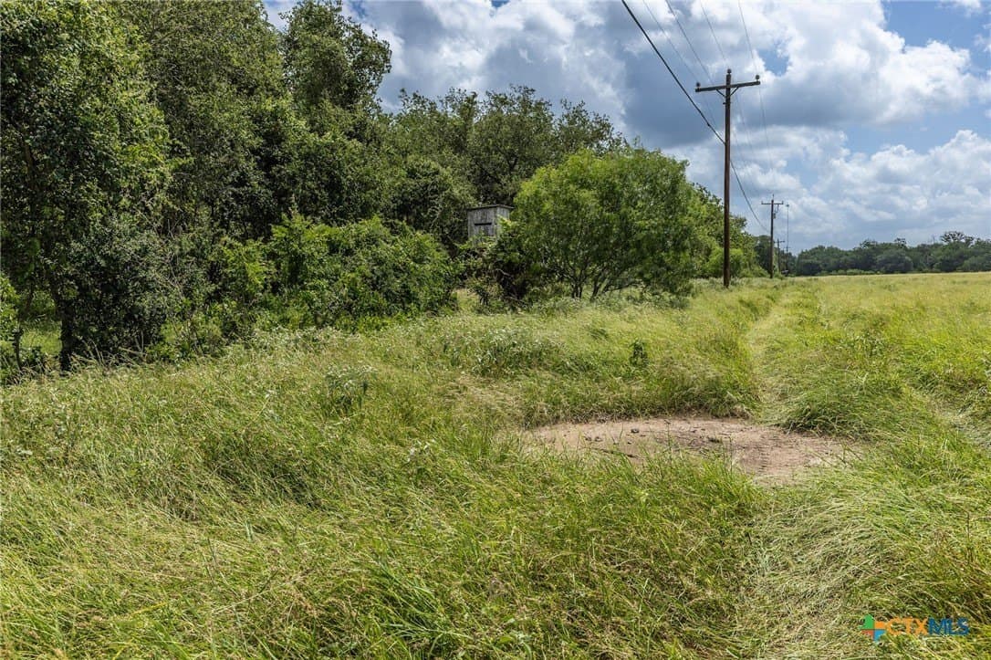 40 acres in Guadalupe County - photo 7