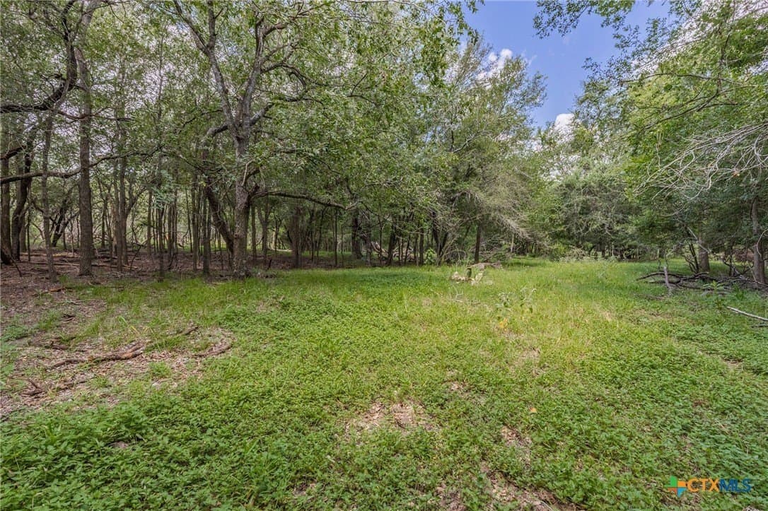 40 acres in Guadalupe County - photo 10