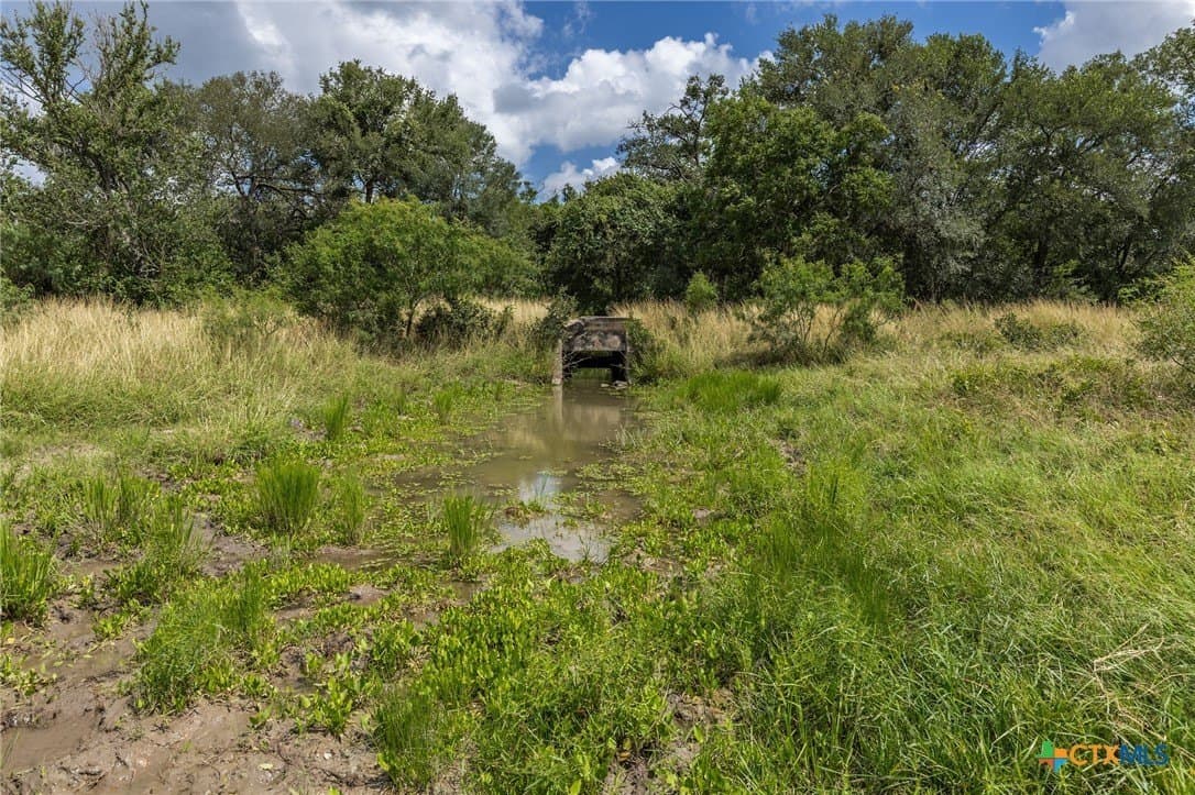 40 acres in Guadalupe County