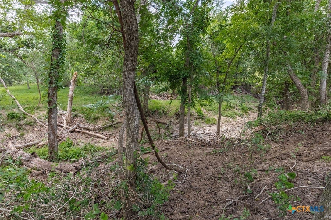 40 acres in Guadalupe County - photo 8