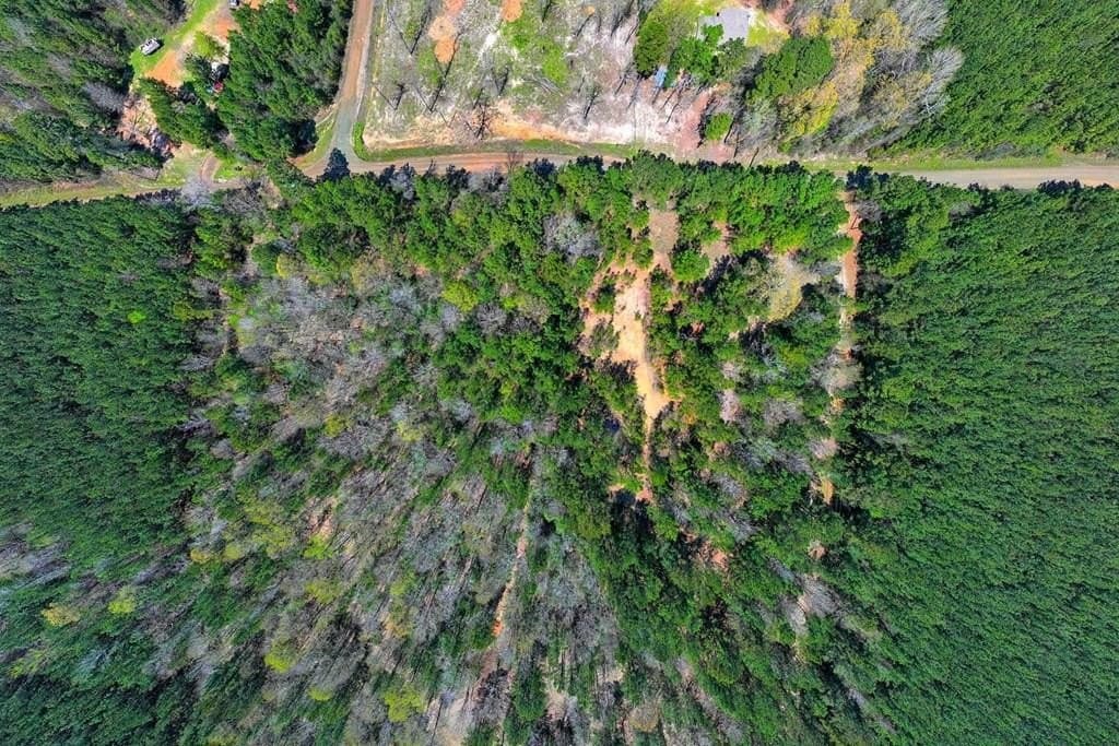 7.58 acres in Texas County gallery image 3