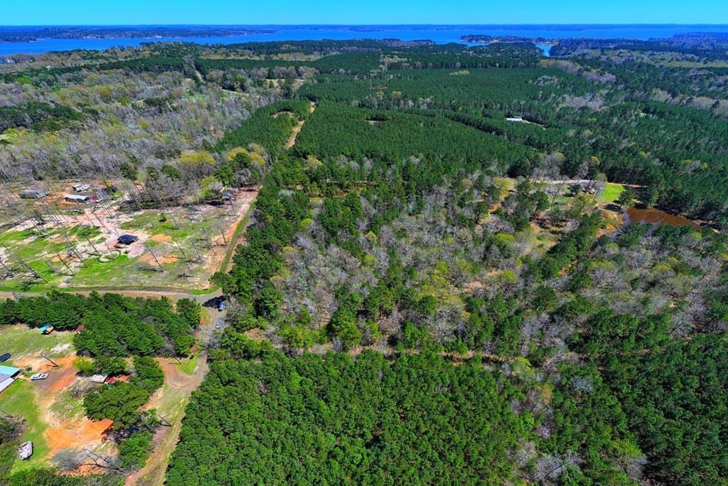 7.58 acres in Texas County gallery image 4