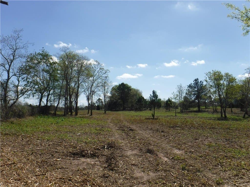 8 acres in AUSTIN County - photo 19