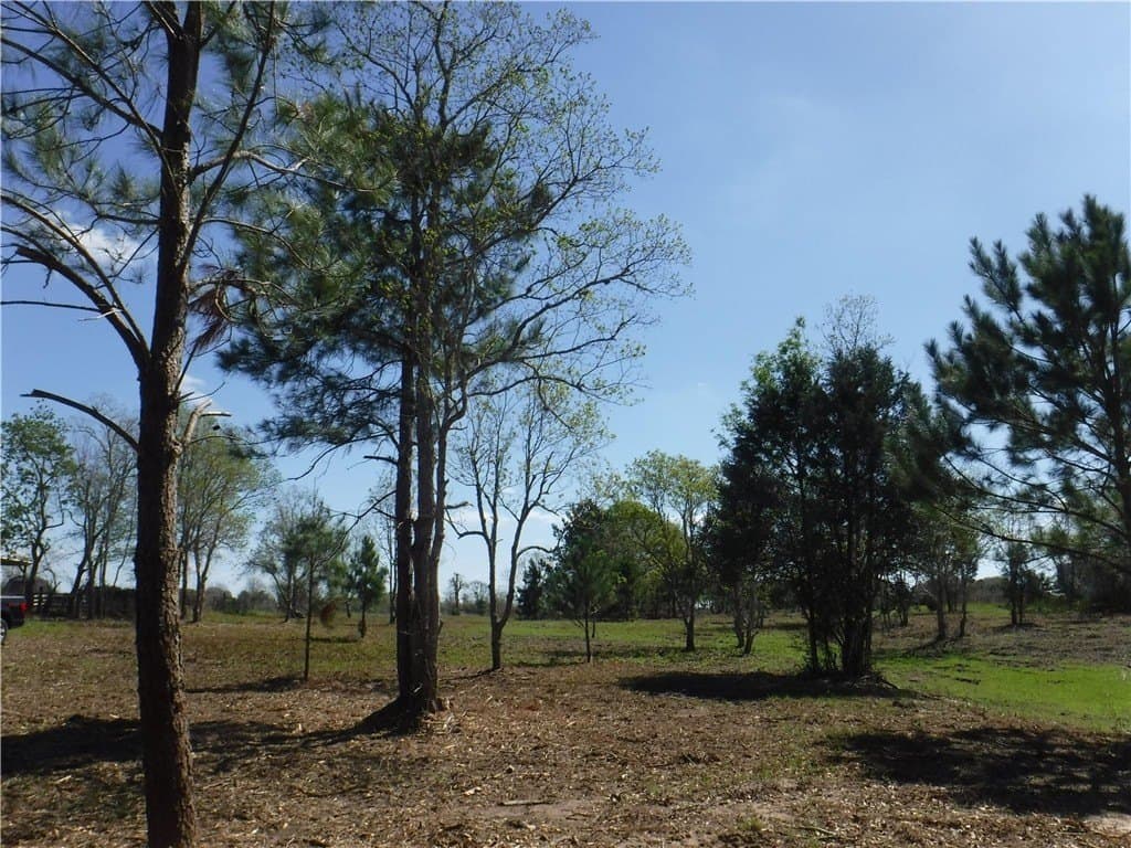 8 acres in AUSTIN County - photo 7