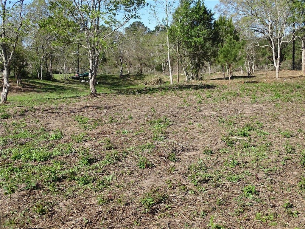 8 acres in AUSTIN County - photo 22