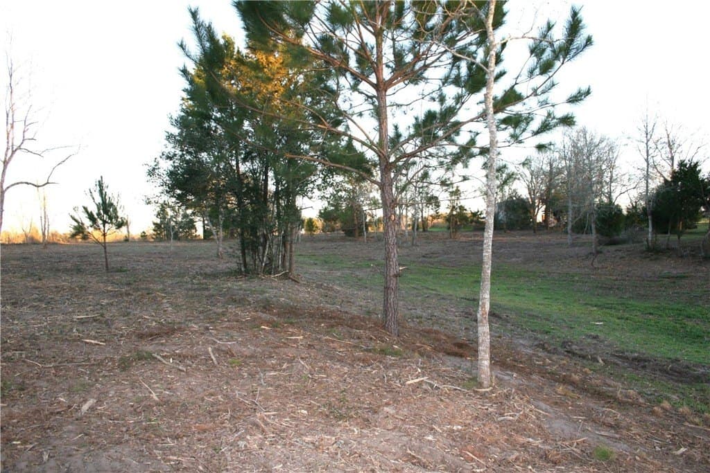 8 acres in AUSTIN County - photo 28