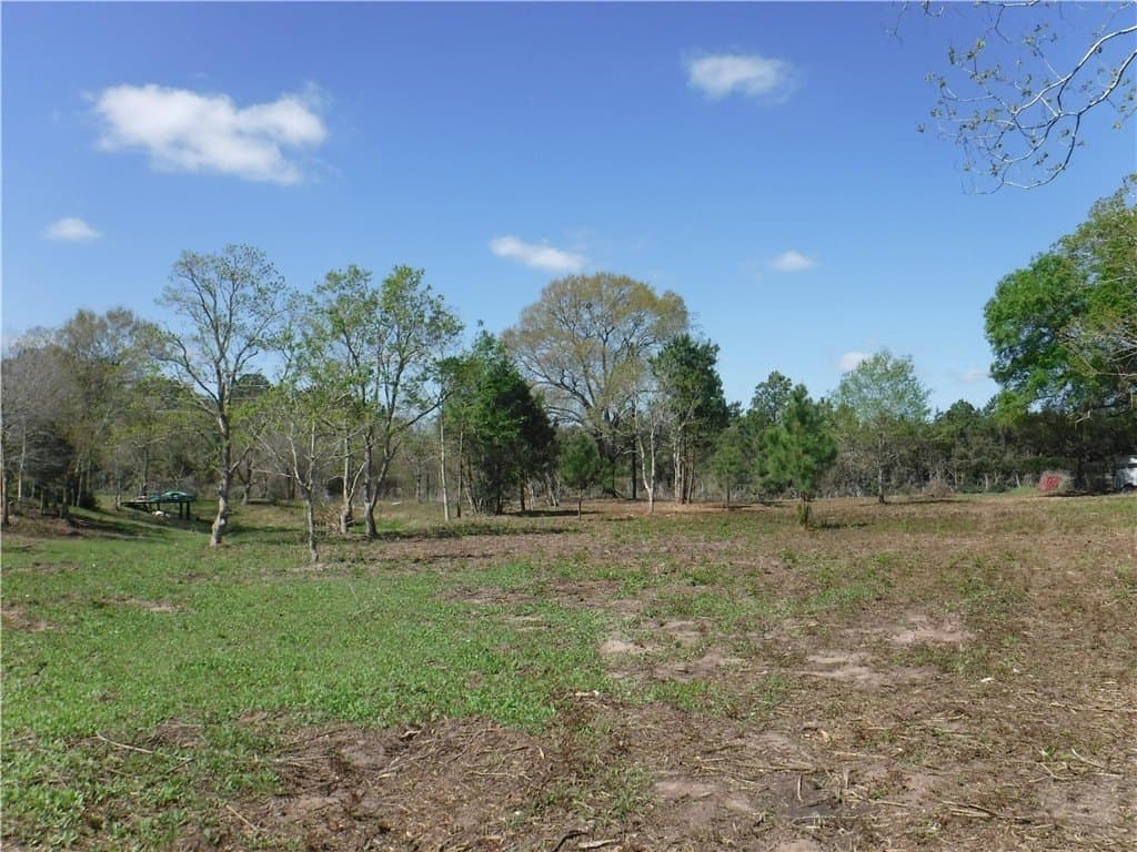 8 acres in AUSTIN County - photo 2