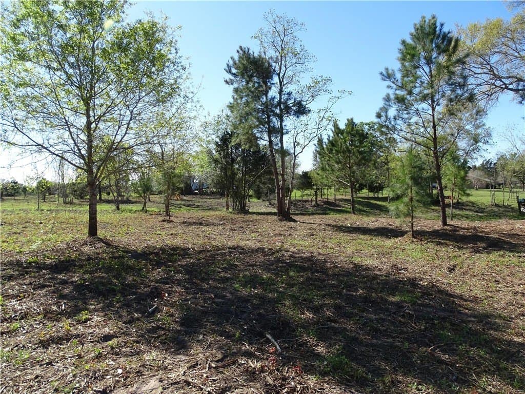 8 acres in AUSTIN County - photo 5