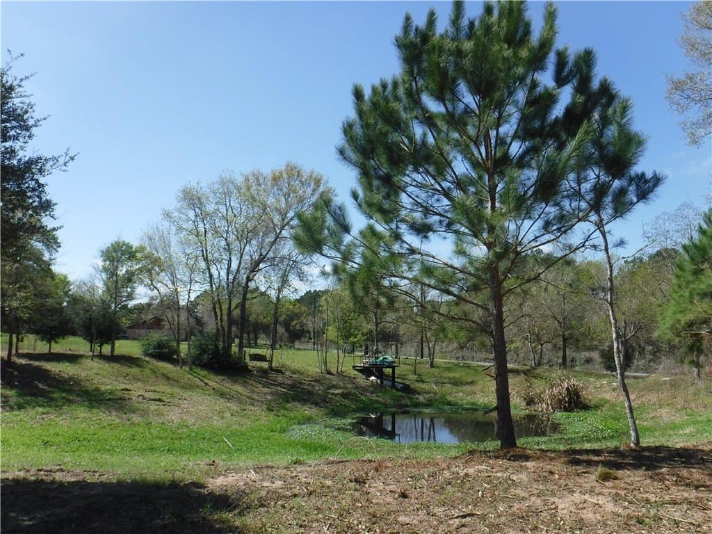 8 acres in AUSTIN County - photo 3