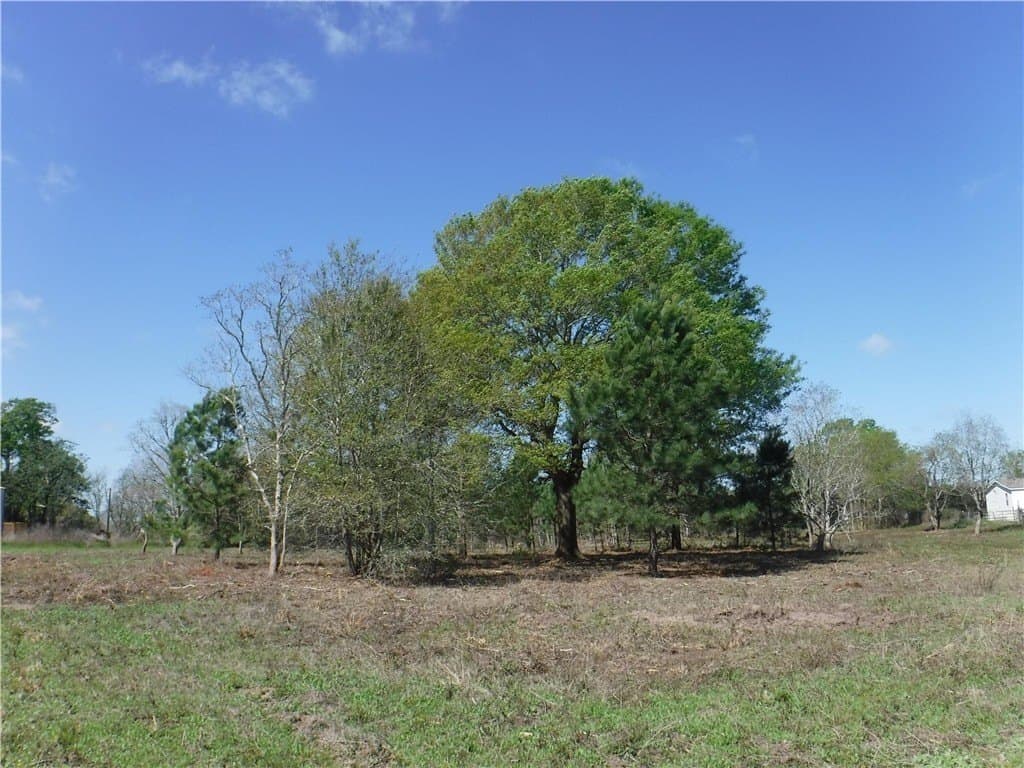 8 acres in AUSTIN County - photo 4