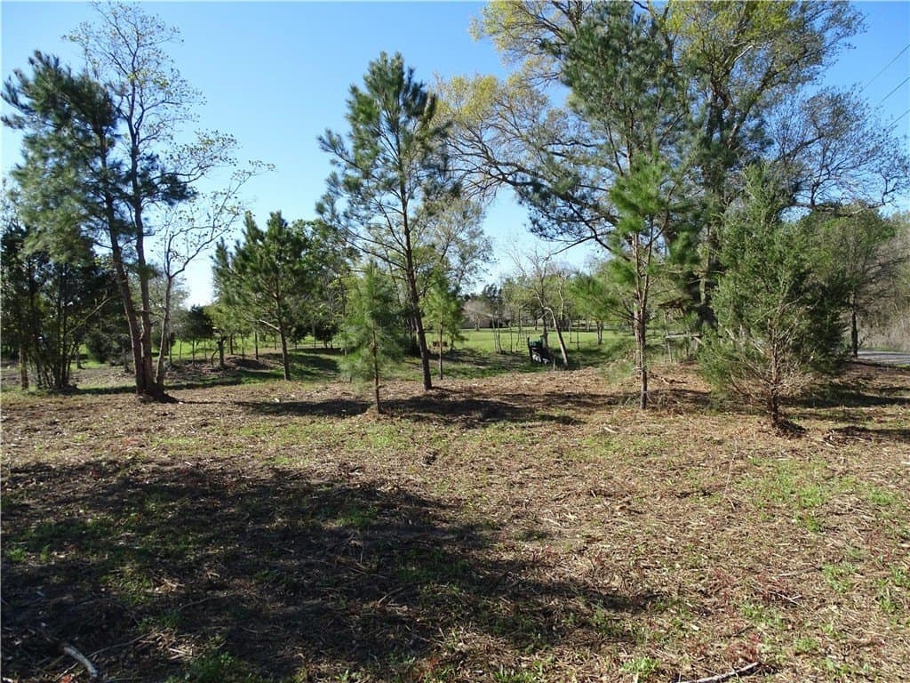8 acres in AUSTIN County - photo 26