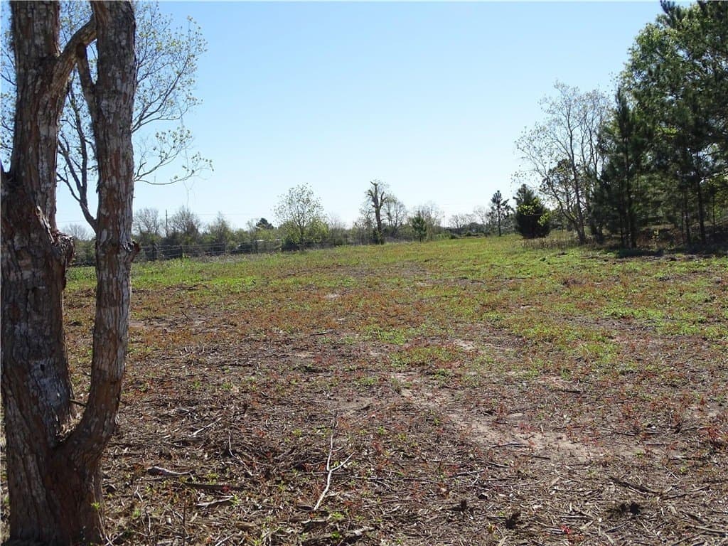 8 acres in AUSTIN County - photo 20