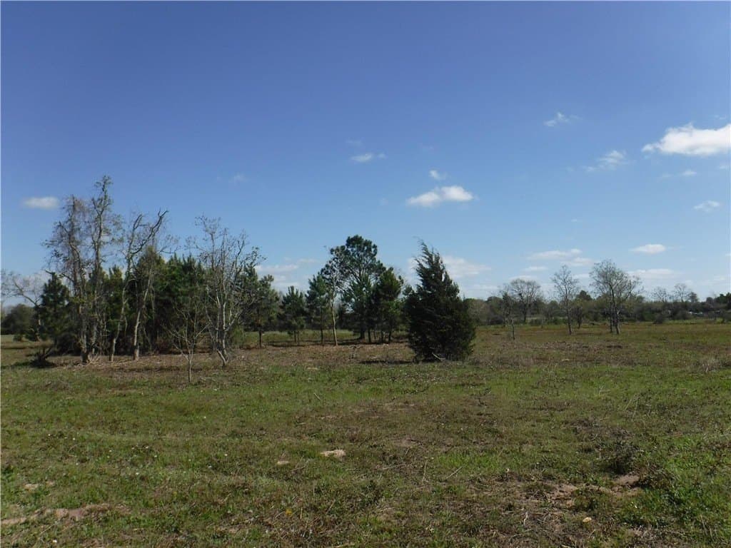 8 acres in AUSTIN County - photo 14