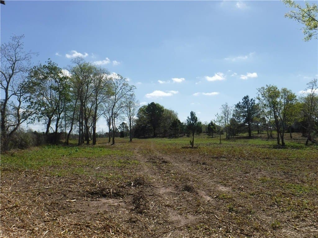 8 acres in AUSTIN County - photo 18