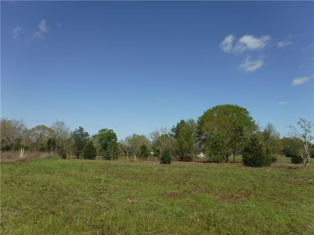 8 acres in AUSTIN County - photo 12