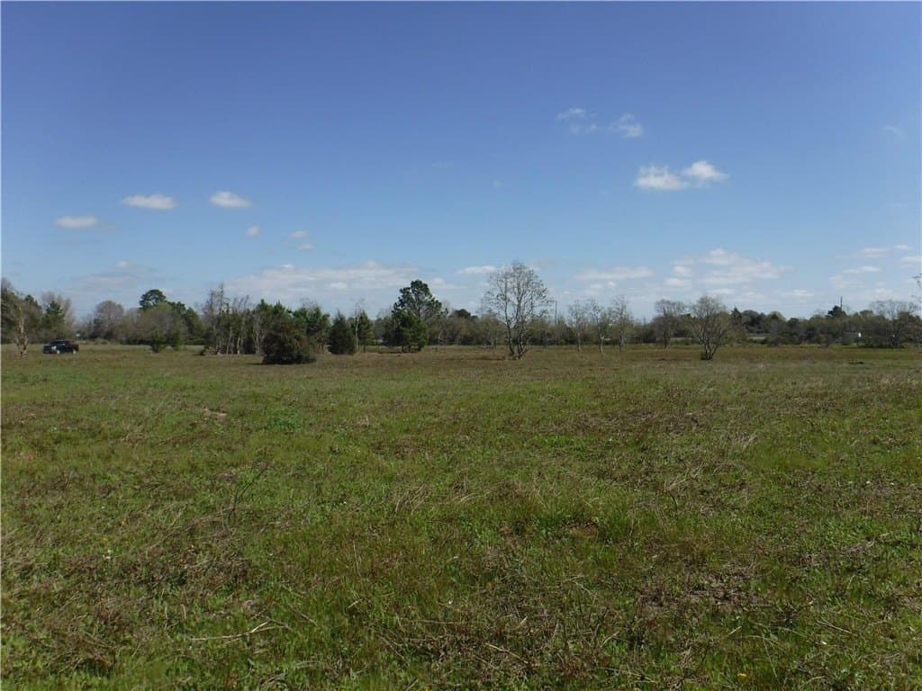 8 acres in AUSTIN County - photo 17