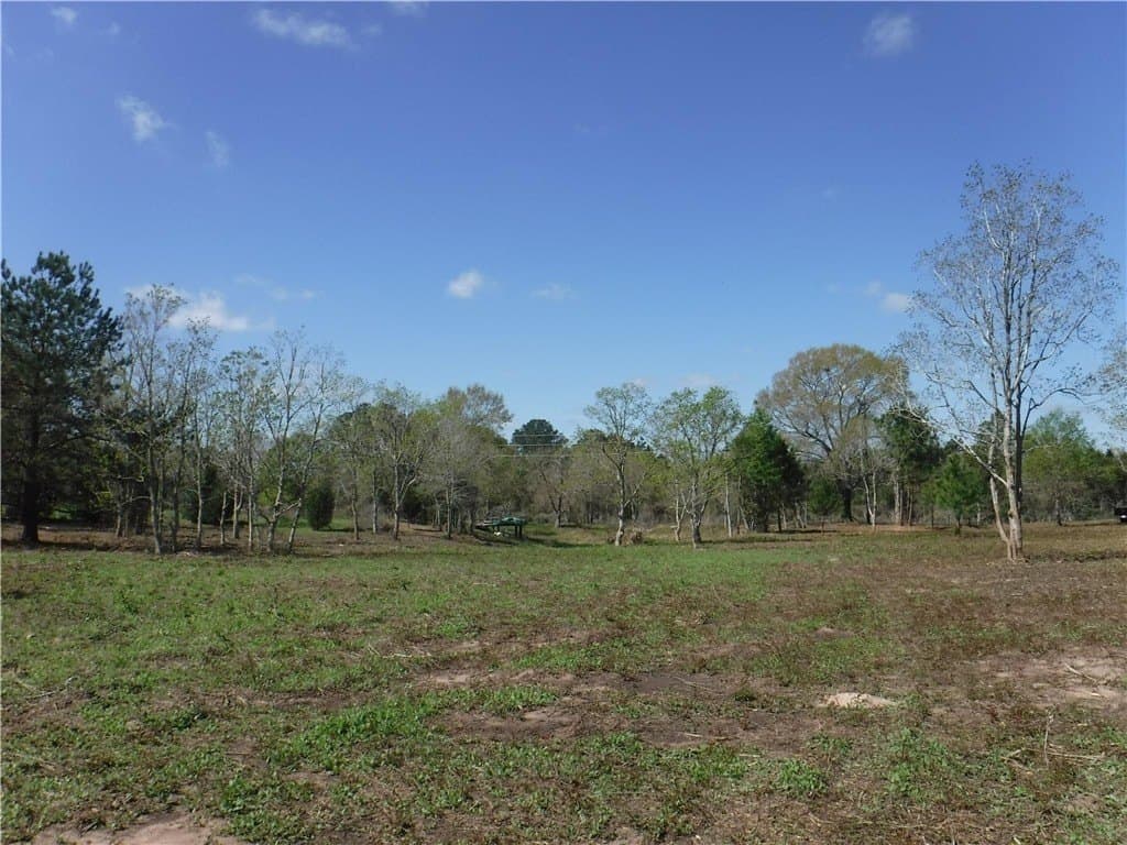 8 acres in AUSTIN County - photo 16