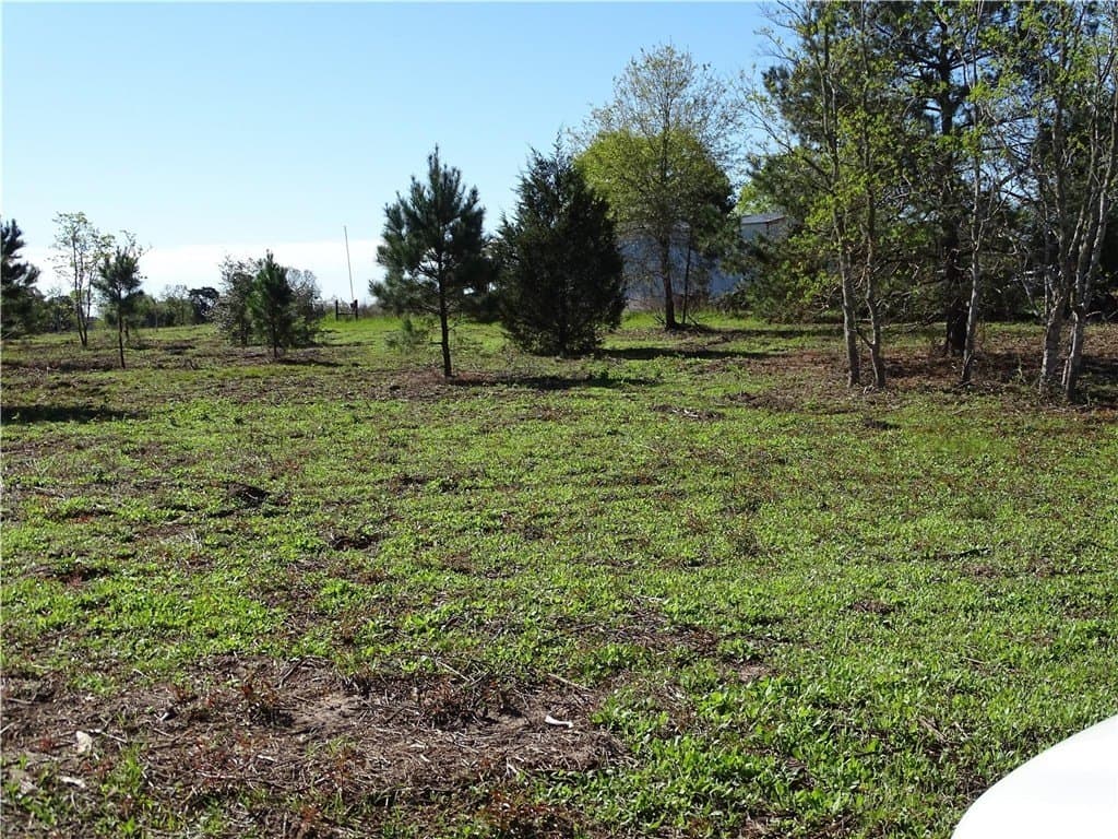 8 acres in AUSTIN County - photo 21