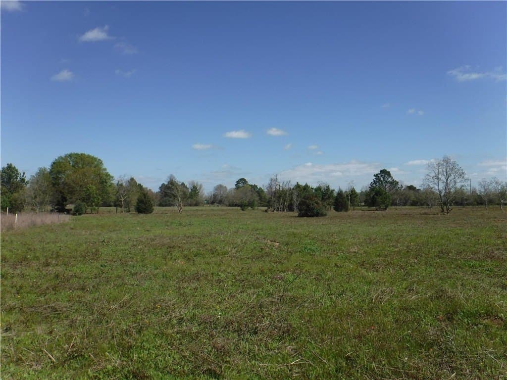 8 acres in AUSTIN County - photo 11