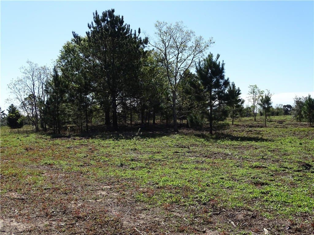 8 acres in AUSTIN County - photo 25
