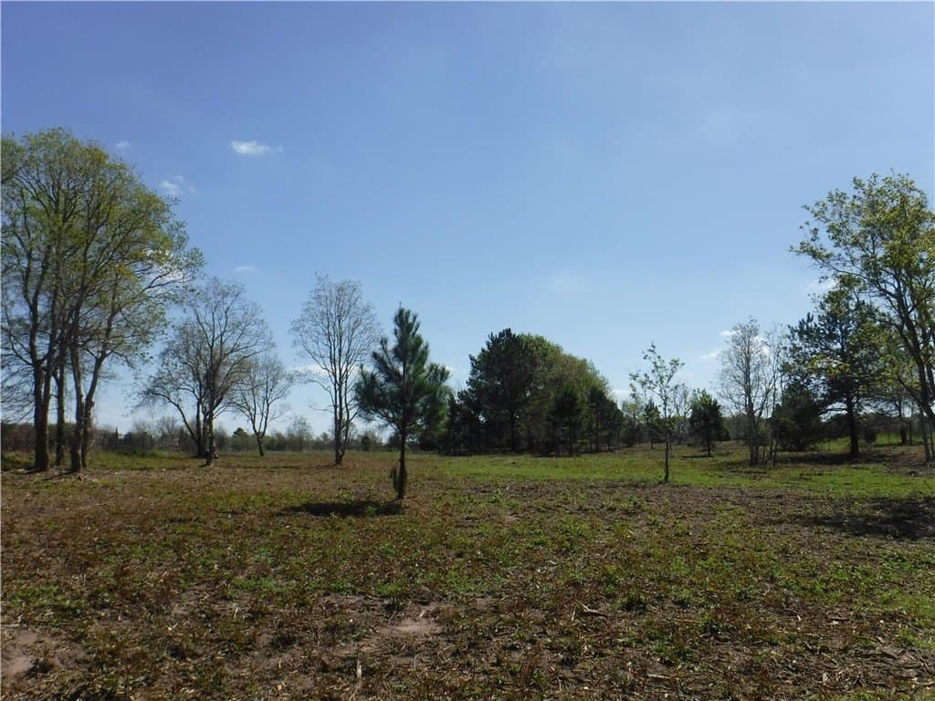 8 acres in AUSTIN County - photo 8