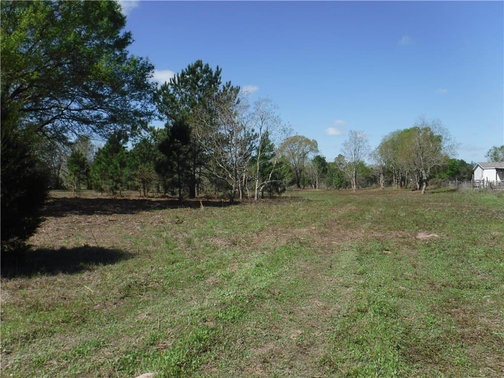 8 acres in AUSTIN County - photo 10