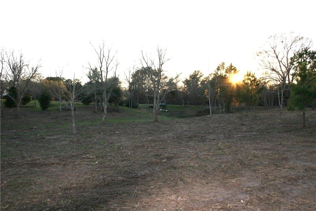 8 acres in AUSTIN County - photo 29