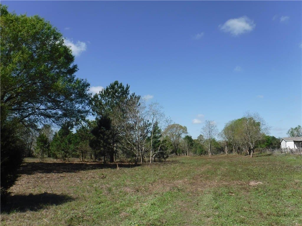 8 acres in AUSTIN County - photo 9