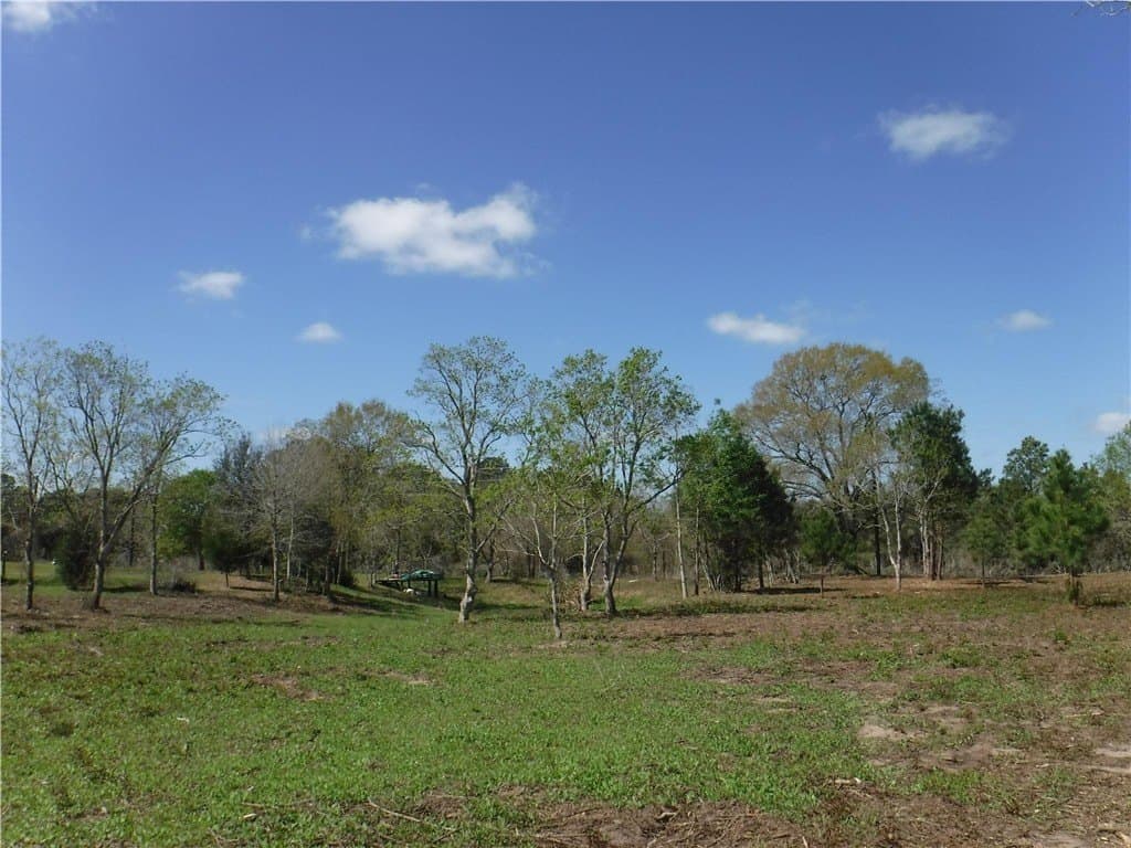 8 acres in AUSTIN County - photo 6