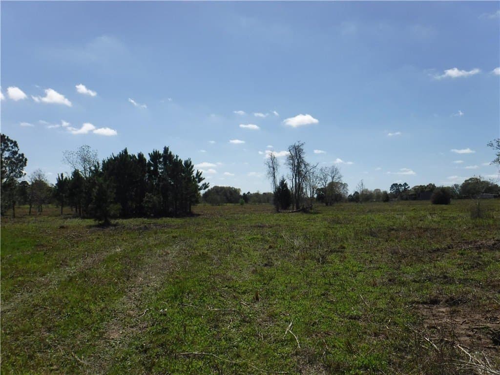 8 acres in AUSTIN County - photo 15