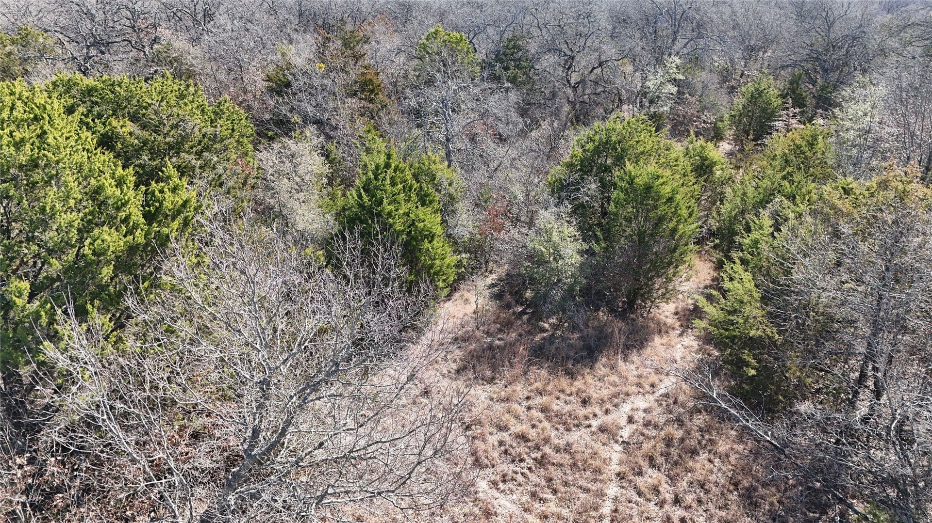 18 acres in Parker County - photo 6