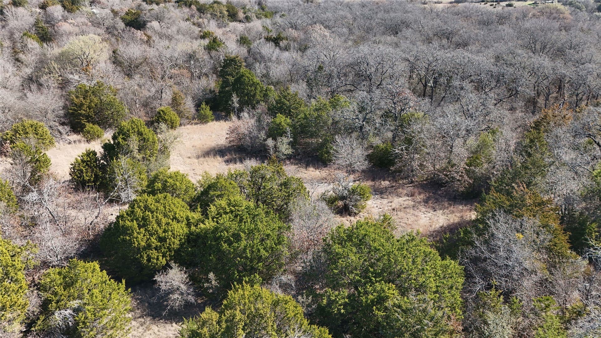 18 acres in Parker County - photo 8