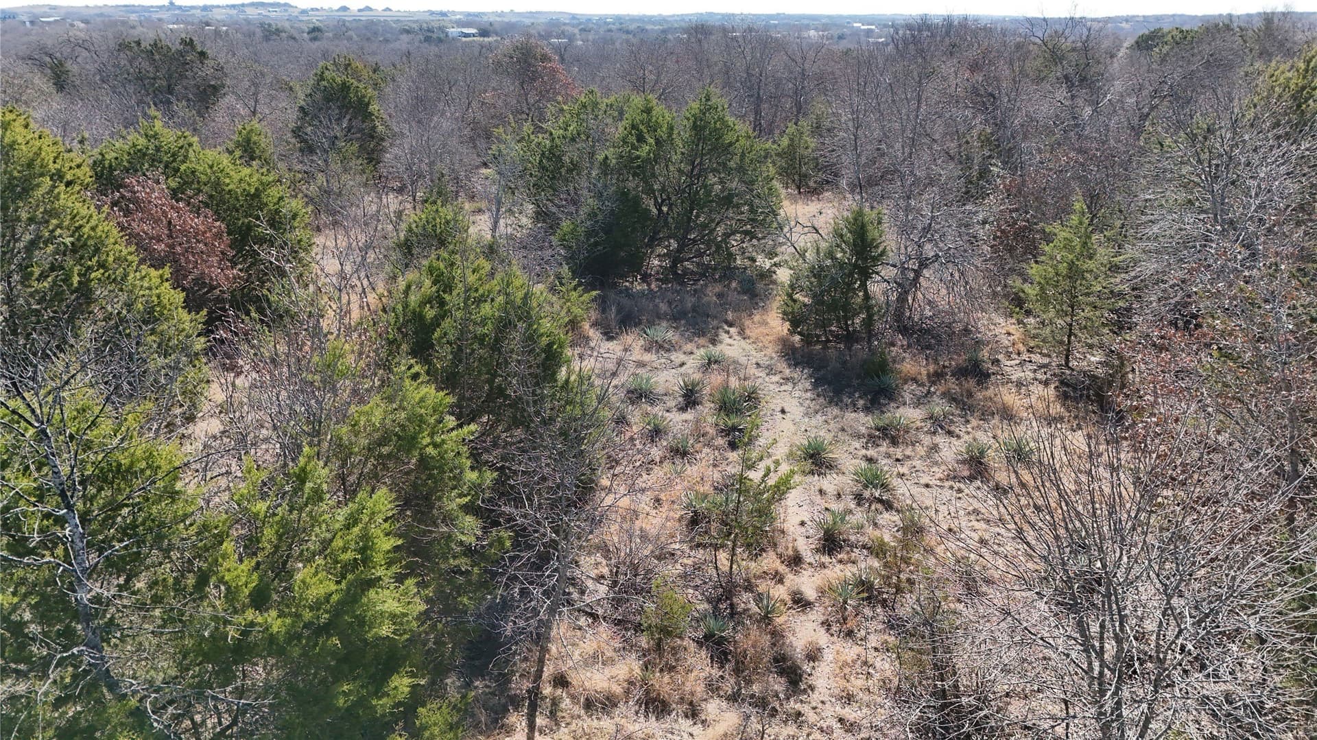 18 acres in Parker County - photo 9