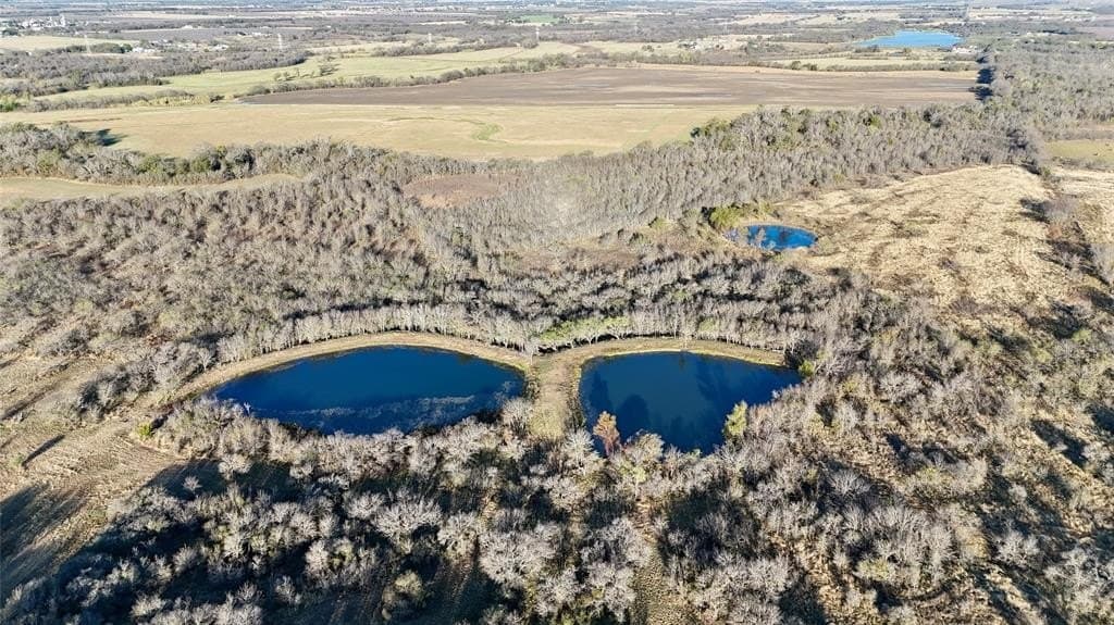 39.93 acres in McLennan County gallery image 4