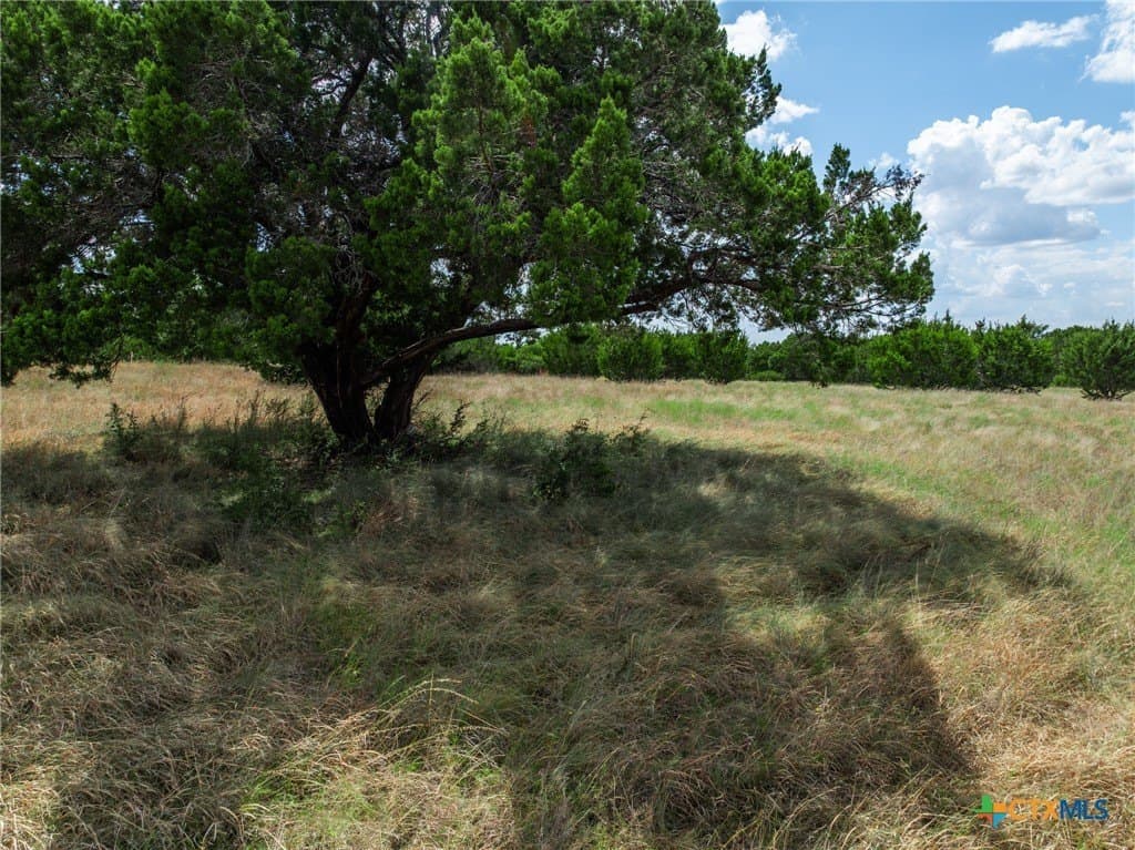 5.37 acres in Coryell County - photo 6