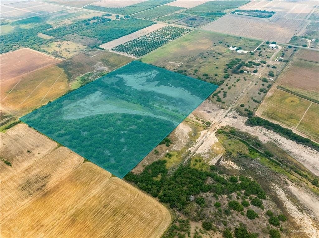 34 acres in Willacy County gallery image 3