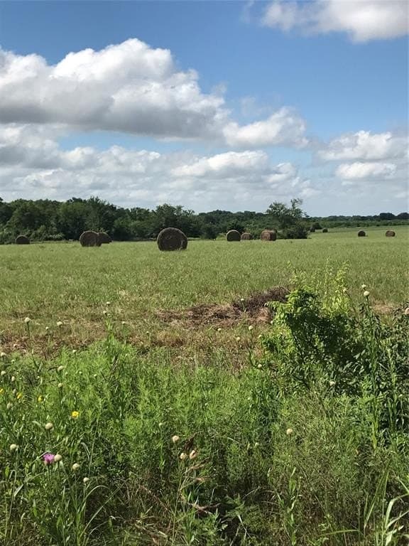 22.5 acres in Van Zandt County gallery image 3