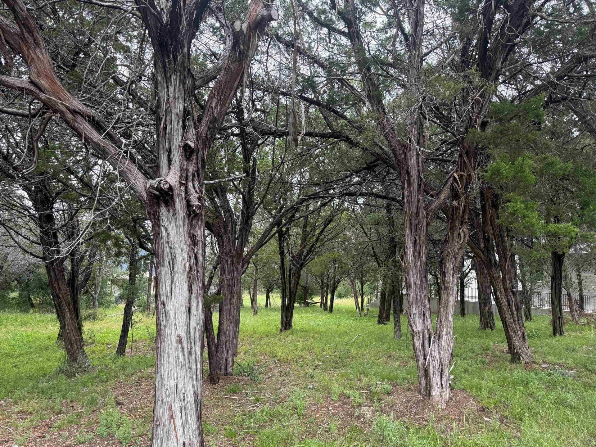 0.13 acres in Llano County gallery image 3