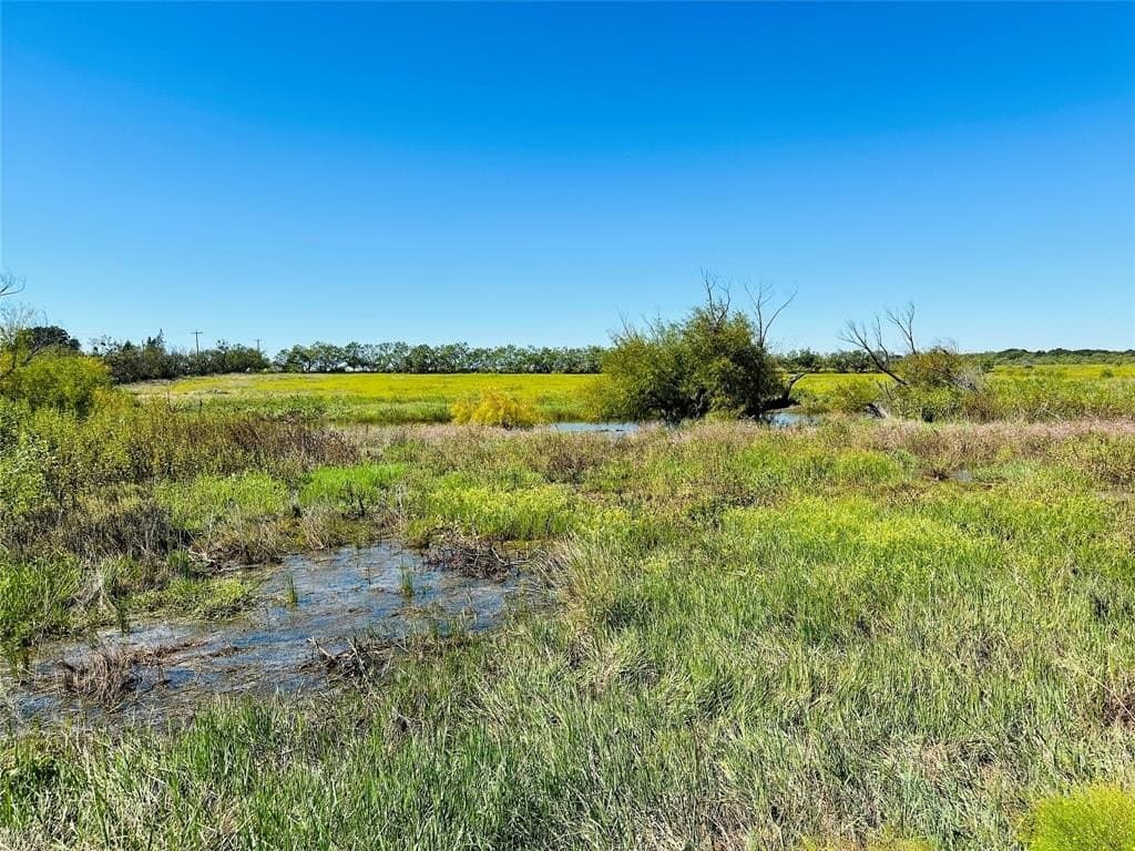 20 acres in Callahan County gallery image 3