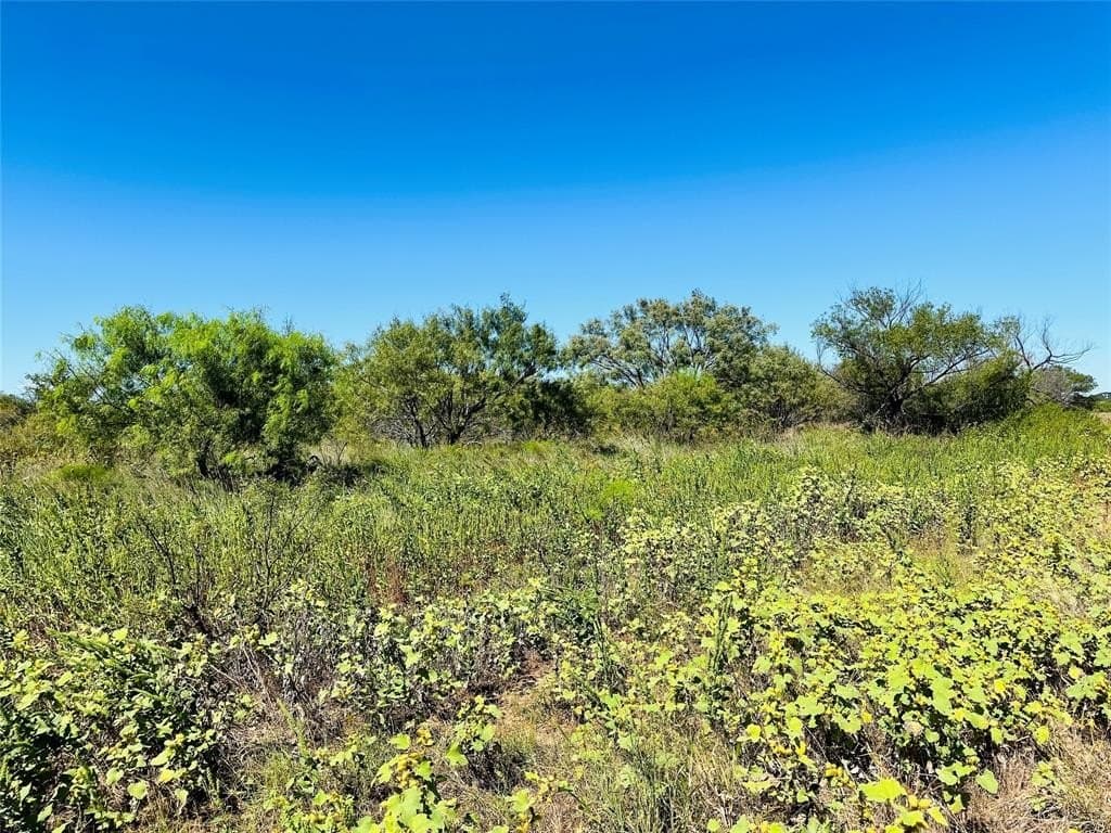 20 acres in Callahan County featured view
