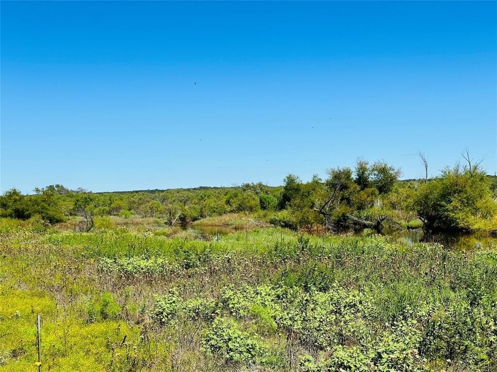 20 acres in Callahan County gallery image 2