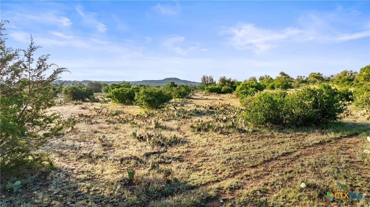 6 acres in Blanco County - photo 7