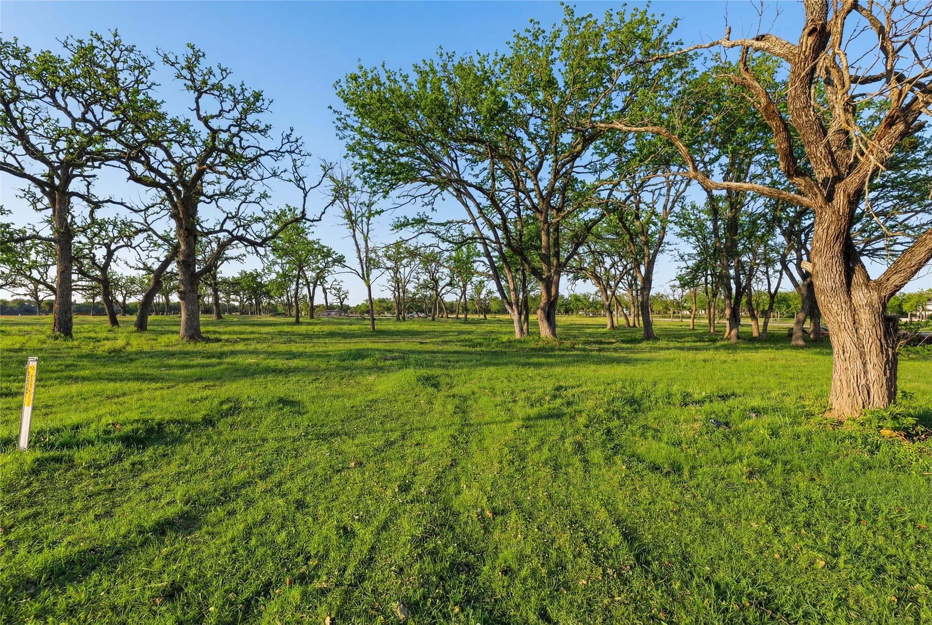 1.01 acres in Denton County gallery image 4