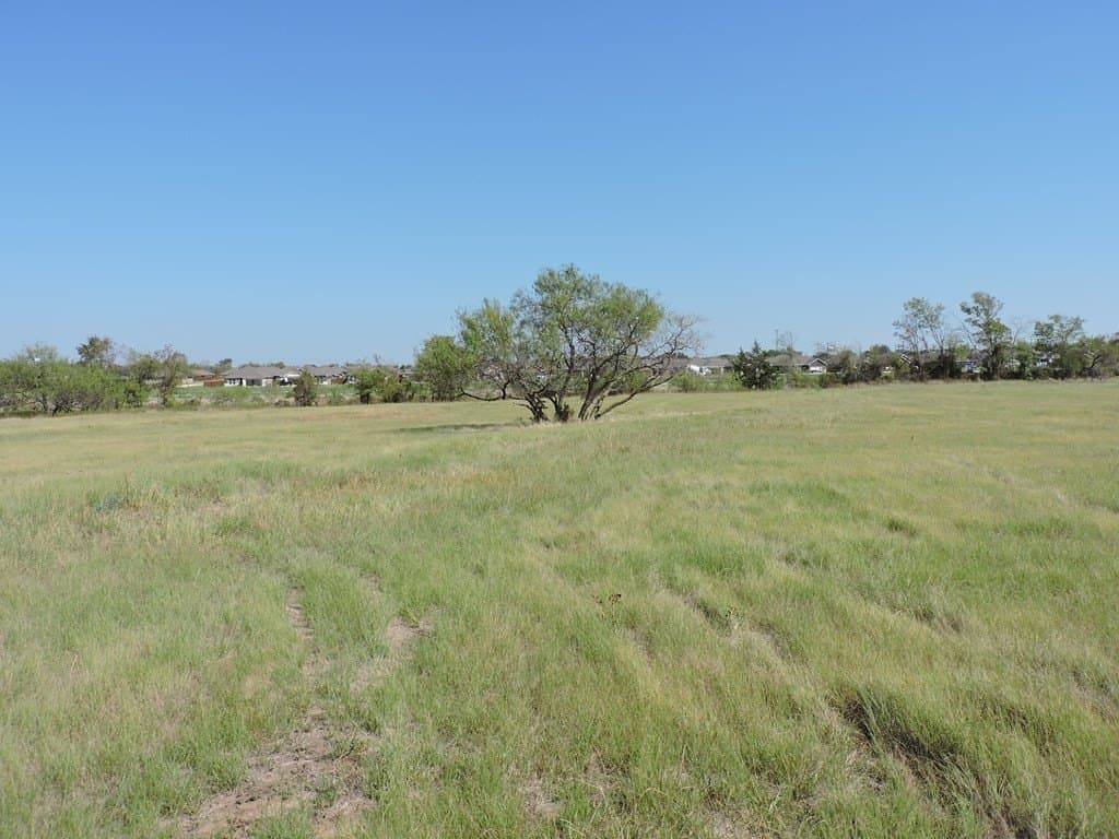 2.01 acres in Henderson County gallery image 2