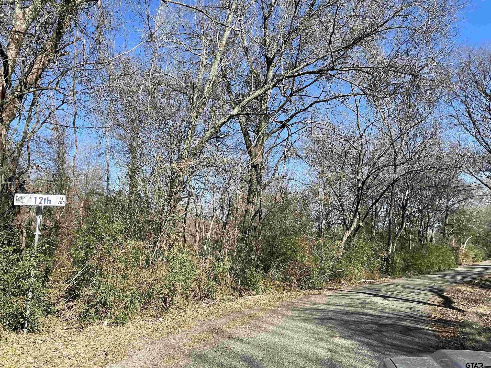 1.26 acres in Titus County gallery image 2