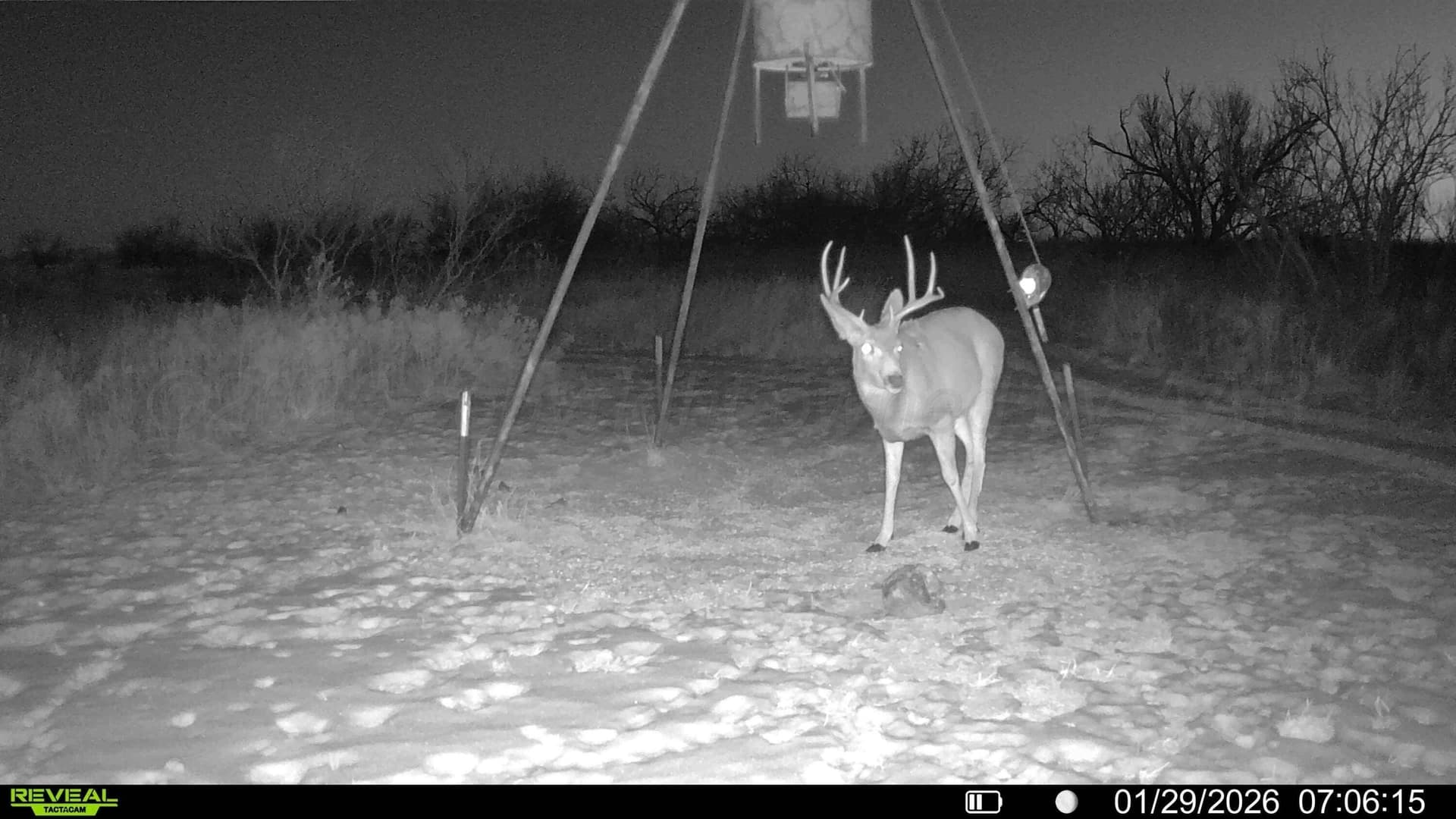 109 acres in Donley County gallery image 3